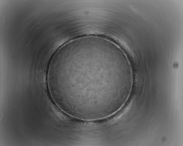 X0000102780881200808251113