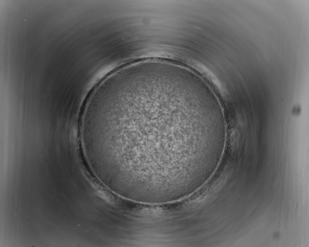 X0000102780882200808251113