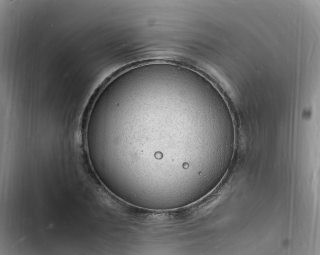 X0000102780883200808251113