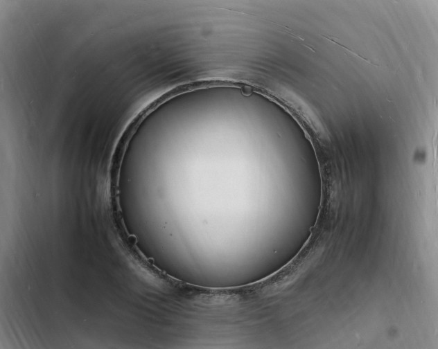 X0000102780884200808251113