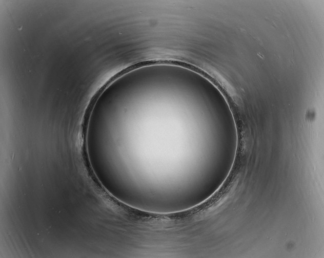 X0000102780885200808251113