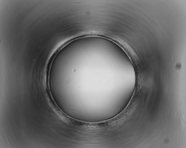 X0000102780886200808251113