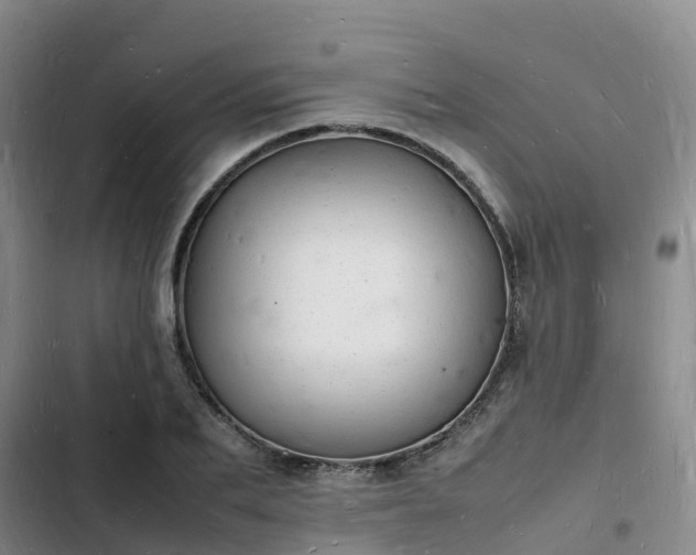 X0000102780887200808251113