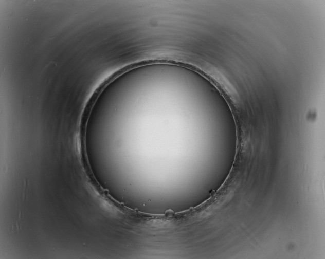 X0000102780888200808251113