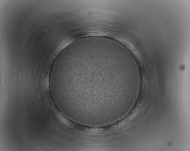 X0000102780889200808251113