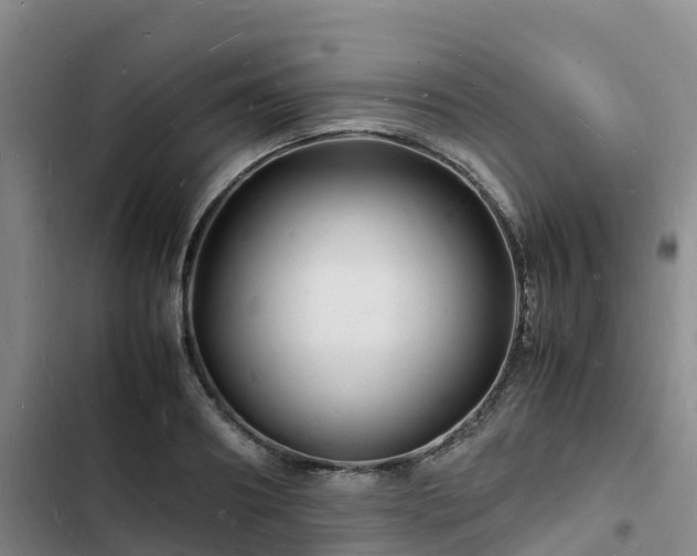 X0000102780890200808251113