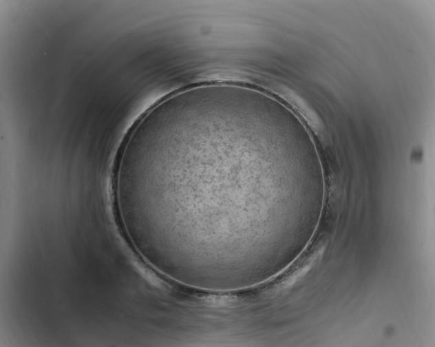 X0000102780893200808251113