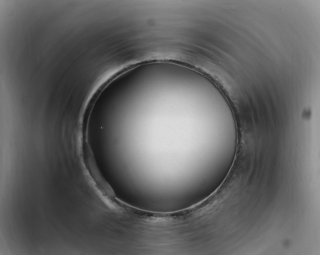 X0000102780894200808251113