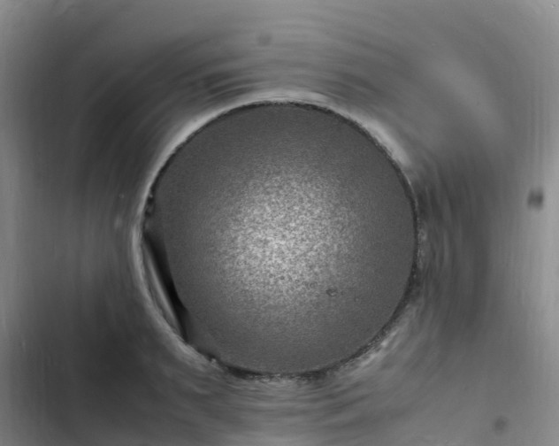 X0000102780895200808251113