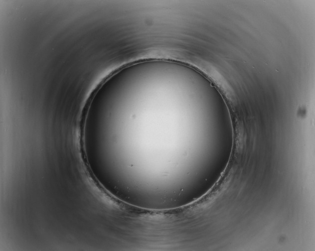 X0000102780896200808251113