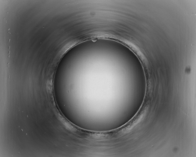 X0000102780897200808251113