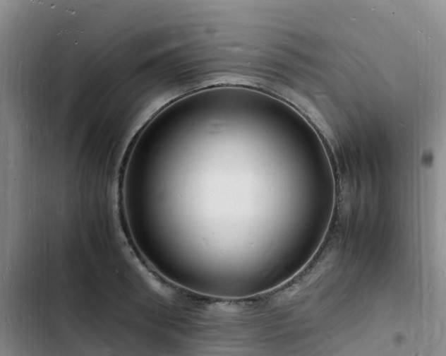 X0000102780898200808251113