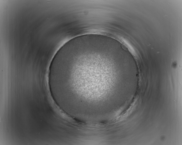 X0000102780899200808251113