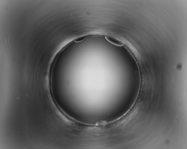 X0000102780902200808251113