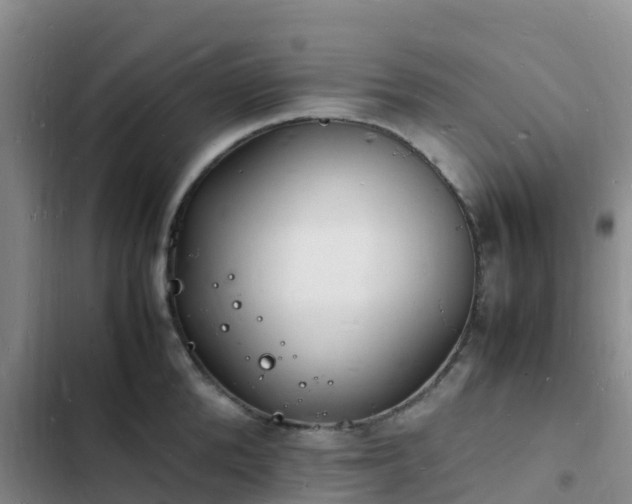 X0000102780904200808251113