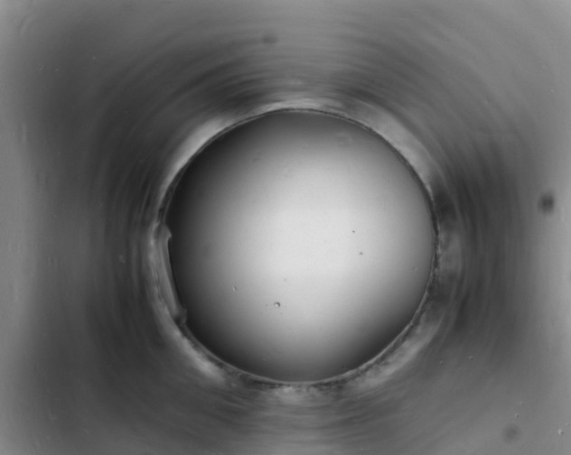 X0000102780906200808251113