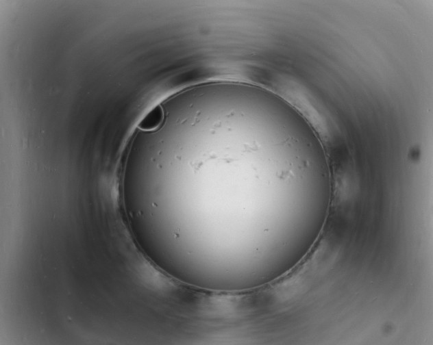 X0000102780908200808251113