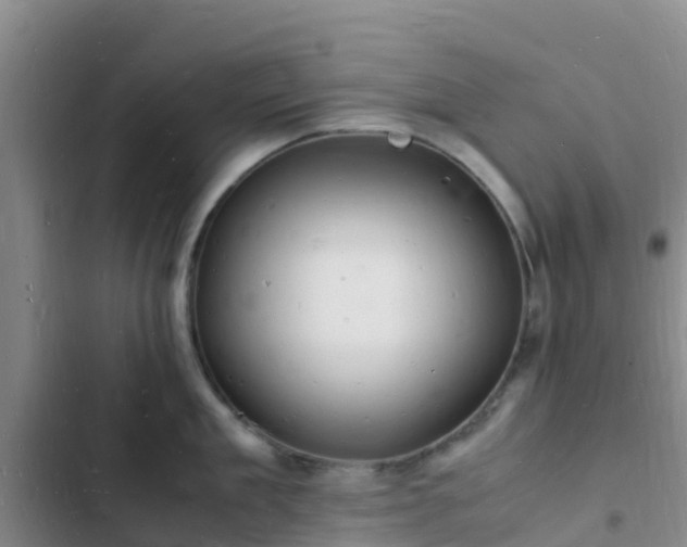 X0000102780909200808251113