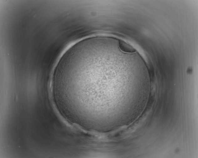 X0000102780911200808251113