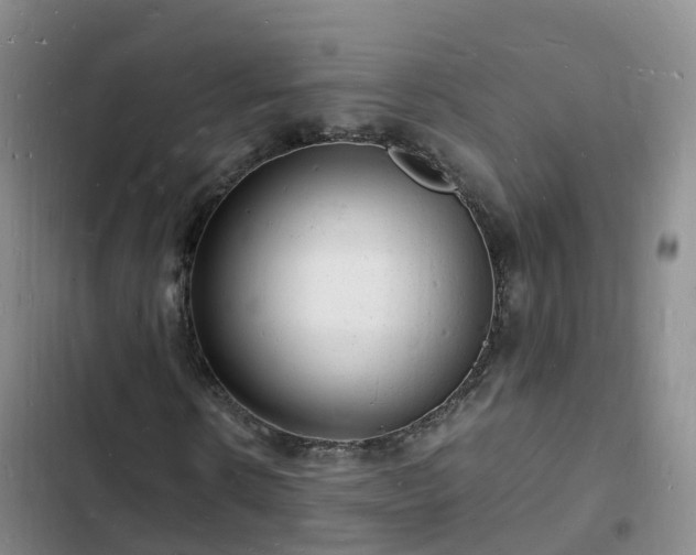 X0000102780914200808251112