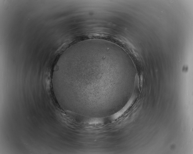 X0000102780915200808251112