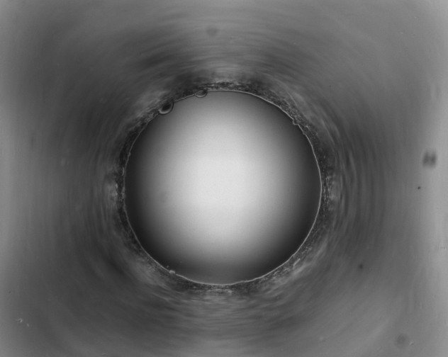 X0000102780916200808251112