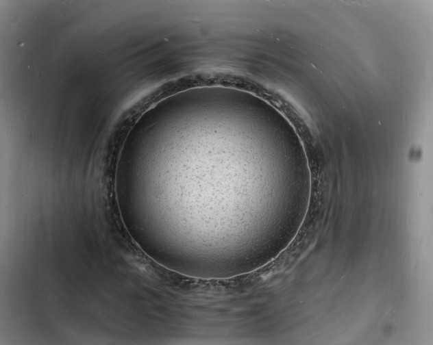 X0000102780919200808251112