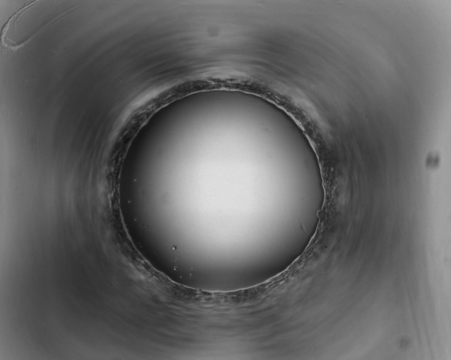 X0000102780920200808251112