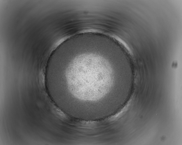 X0000102780921200808251112