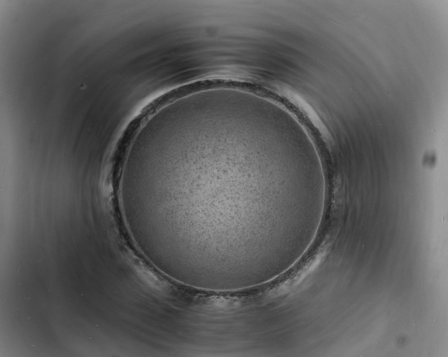 X0000102780923200808251112