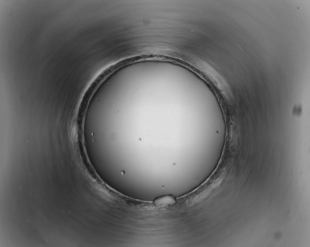 X0000102780924200808251112