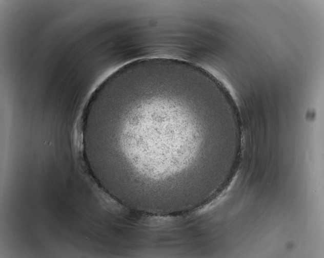 X0000102780925200808251112