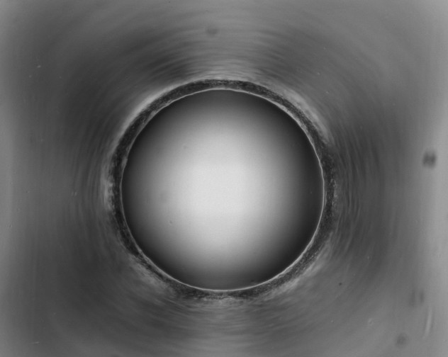 X0000102780926200808251112