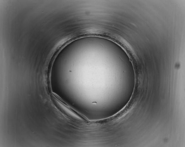 X0000102780930200808251112