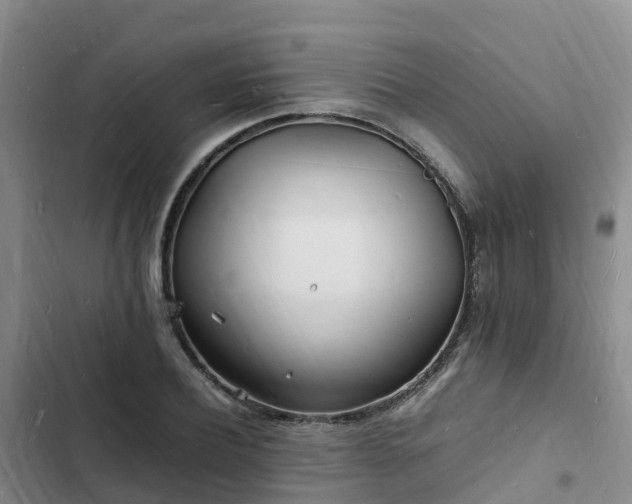 X0000102780932200808251112