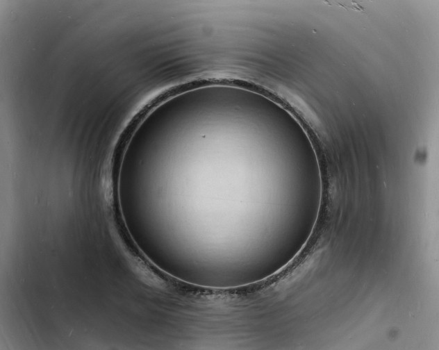 X0000102780934200808251112