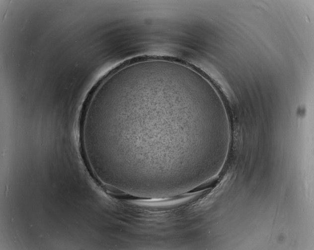 X0000102780935200808251112