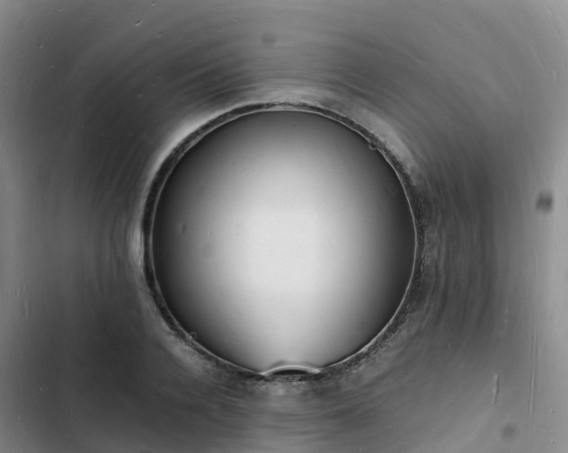 X0000102780936200808251112