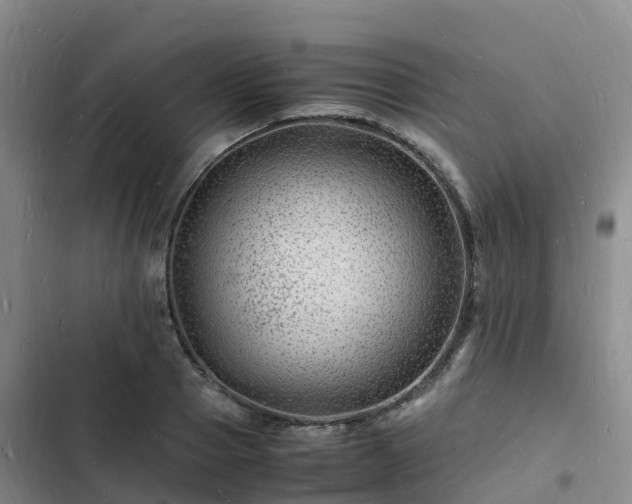 X0000102780937200808251112