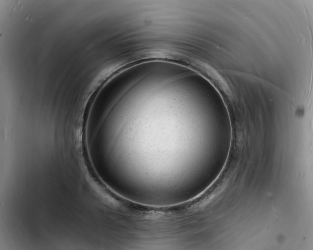 X0000102780938200808251112