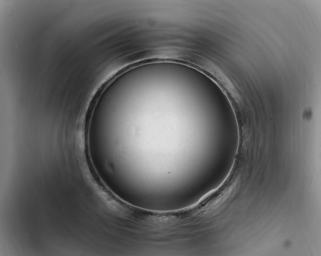 X0000102780939200808251112