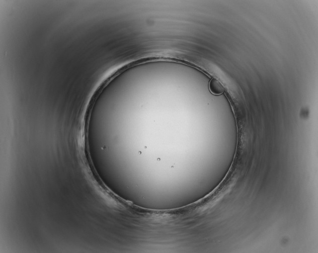 X0000102780940200808251112