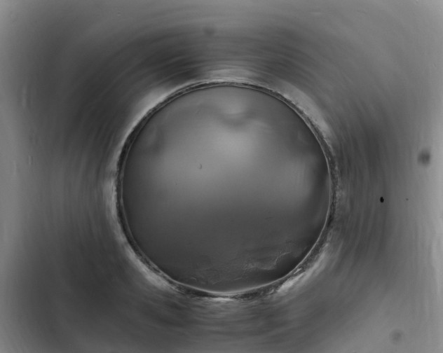 X0000102780941200808251112