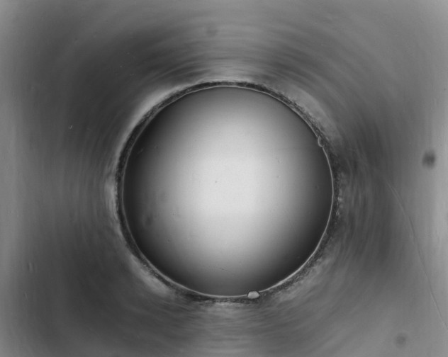 X0000102780942200808251112