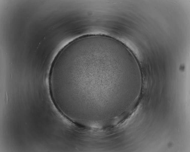 X0000102780943200808251112