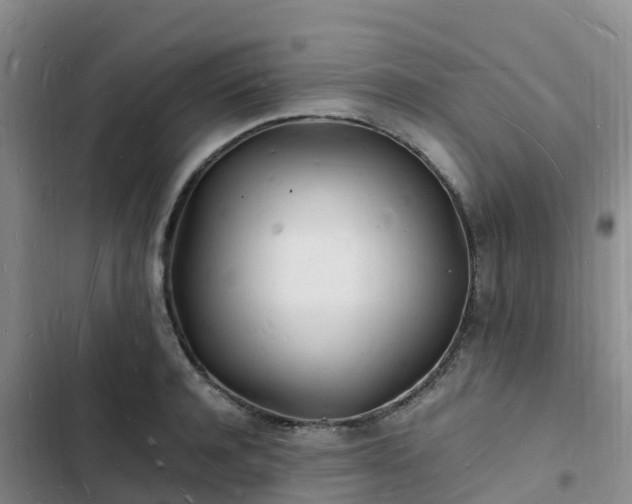 X0000102780944200808251112