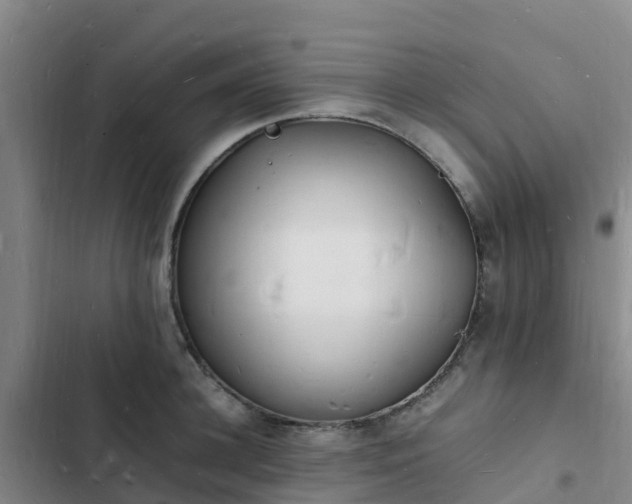 X0000102780948200808251113