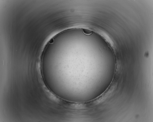 X0000102780952200808251113