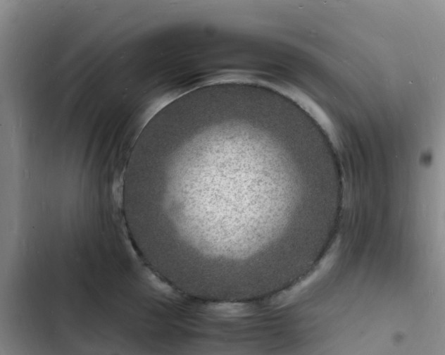 X0000102780953200808251113