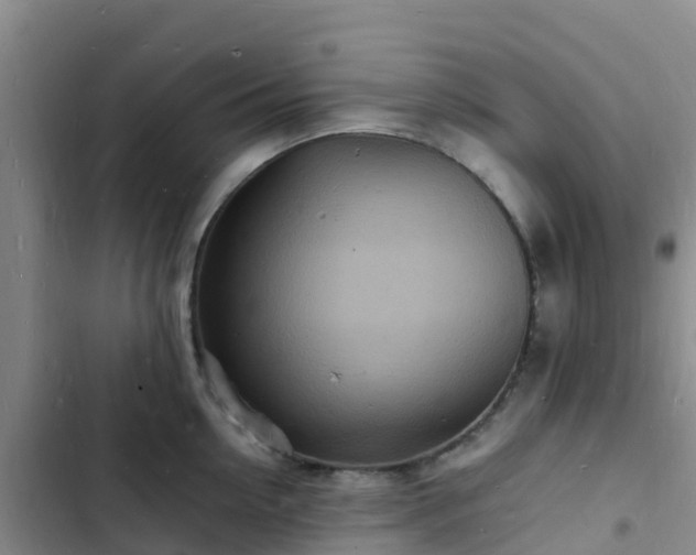 X0000102780954200808251113